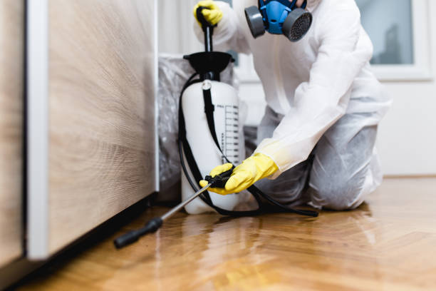 Best Pest Control Treatment  in Mount Vernon, IN