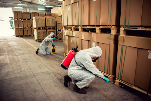 Best Pest Prevention Services  in Mount Vernon, IN