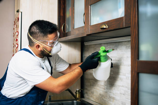 Pest Control Cost in Mount Vernon, IN