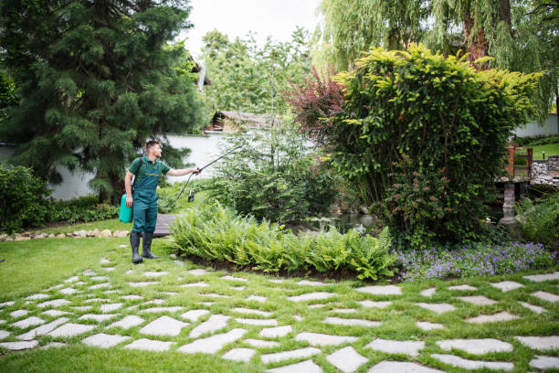 Best Local Pest Control Services  in Mount Vernon, IN