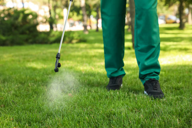 Best Mosquito Control Services  in Mount Vernon, IN