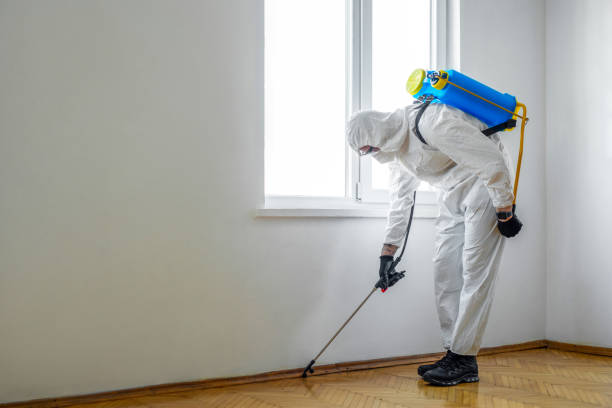 Best Pest Inspection Near Me  in Mount Vernon, IN