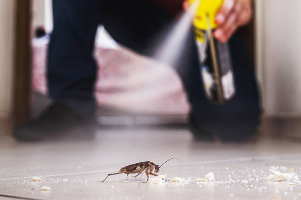 Best Best Pest Control Companies  in Mount Vernon, IN